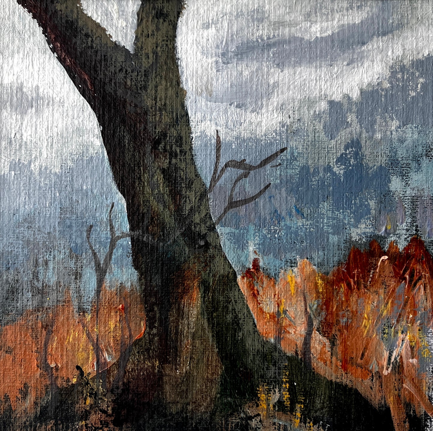 Devil's Punchbowl 1