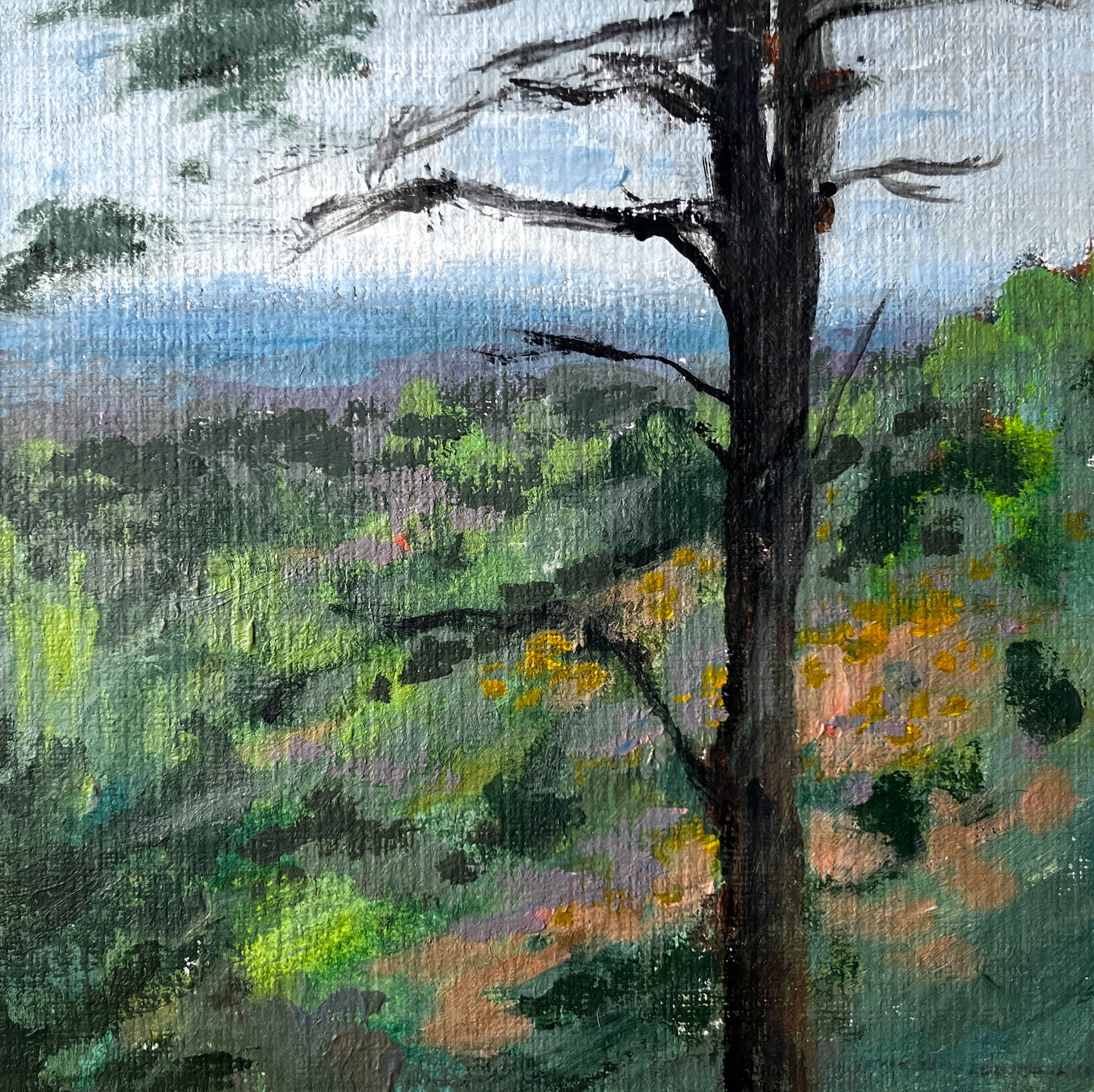Devil's Punchbowl 2