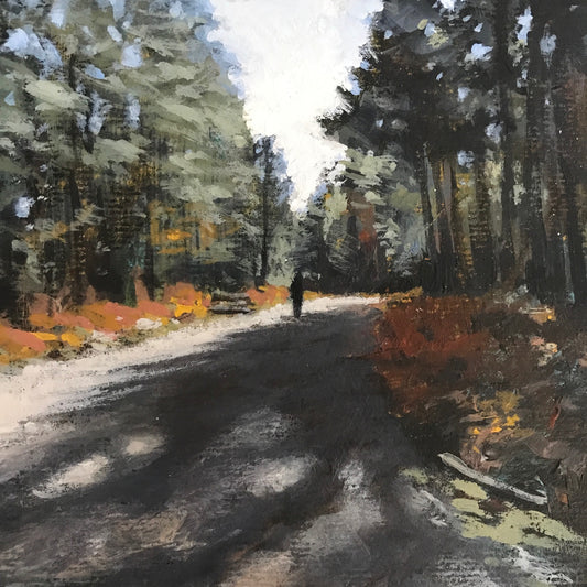 Quiet in the Shadows