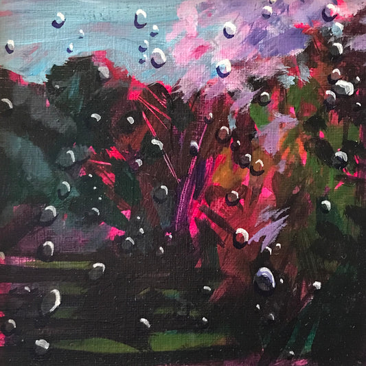 Through the Raindrops 1