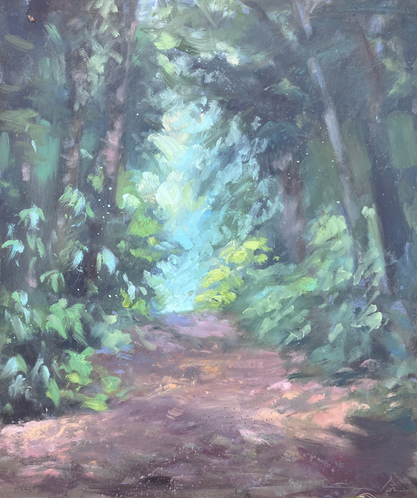 Forest Path