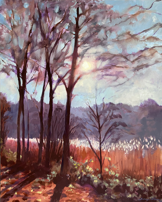 Rushes